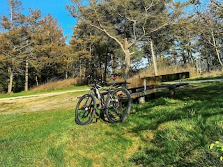 Maison de vacances Bork Havn Enregistrement extérieur 8