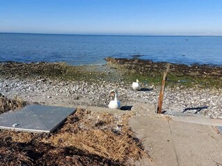 Appartement Bogense  37