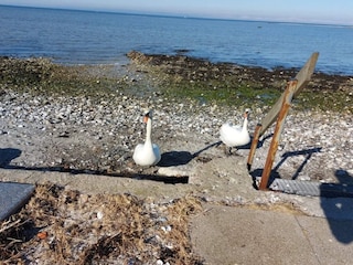 Apartment Bogense  43