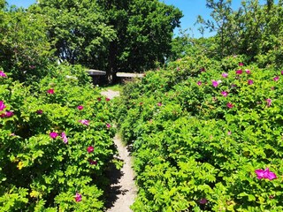 Vakantiehuis Sjølund  33