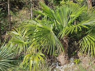 Casa per le vacanze Ebeltoft  21