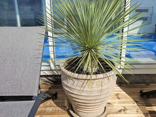 Holiday house Ebeltoft  10