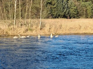 Vakantiehuis Truust  17