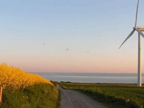 Maison de vacances pour 4 a Ærøskøbing - Aéro - image1