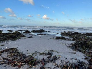 Casa per le vacanze Kelstrup Strand  40