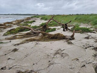 Ferienhaus Kelstrup Strand  25