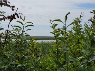 Ferienhaus Fjand  35