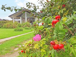 Vakantiehuis Fåborg  7