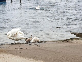 Casa de vacaciones Egernsund  39