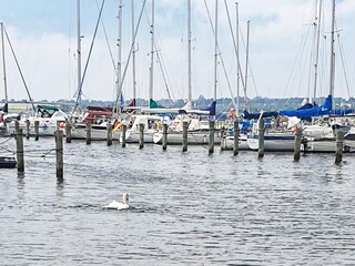 Casa de vacaciones Egernsund  37