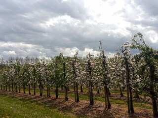 Casa de vacaciones Brenderup  32