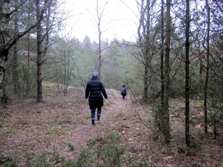 Casa de vacaciones Als  31