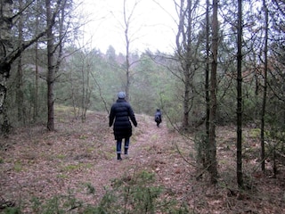 Casa per le vacanze Als  31