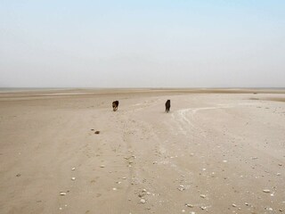 Vakantiehuis Als  22