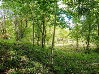 Holiday house Als  31