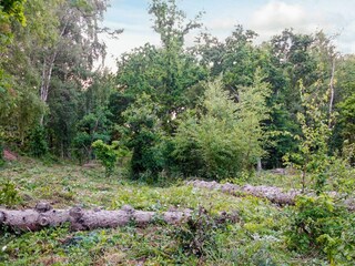 Maison de vacances Als  25