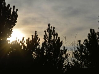 Vakantiehuis Als  24