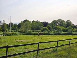 Vakantiehuis Porsheden  28