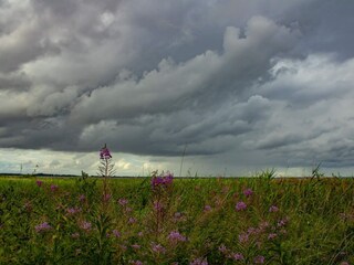 Casa de vacaciones Porsheden  4