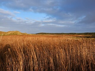 Vakantiehuis Rødhus Buitenaudio-opname 4