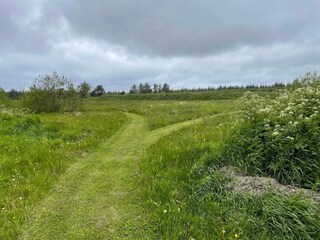 Vakantiehuis Rødhus  24