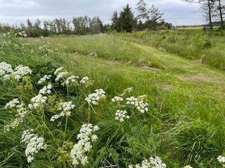 Maison de vacances Rødhus  32