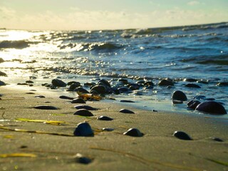 Vakantiehuis Sydals  14