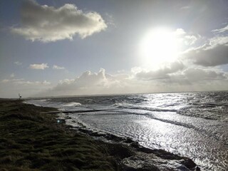 Vakantiehuis Ejsingholm  11