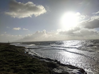 Vakantiehuis Ejsingholm  33