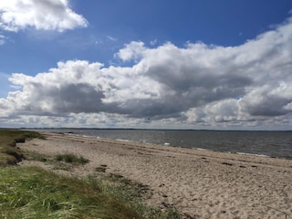 Vakantiehuis Ejsingholm  18