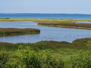 Ferienhaus Ejsingholm  38