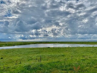 Casa de vacaciones Ejsingholm  17