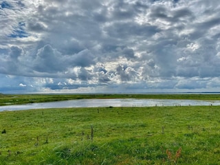 Vakantiehuis Ejsingholm  35