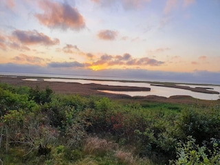 Vakantiehuis Ejsingholm  36