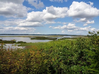 Vakantiehuis Ejsingholm  37