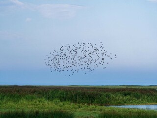 Casa de vacaciones Ejsingholm  10