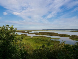 Vakantiehuis Ejsingholm  38