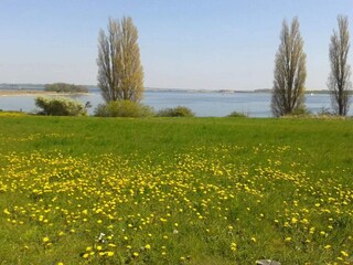 Casa de vacaciones Kegnæs  35