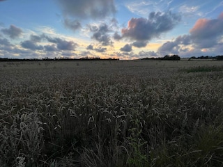 Ferienhaus Henne Strand  4