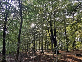 Maison de vacances Henne Strand  30