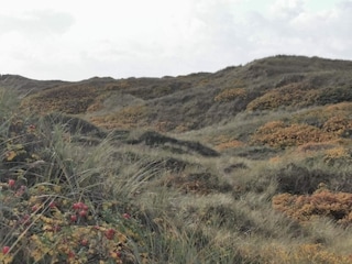 Ferienhaus Henne Strand  8