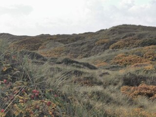 Vakantiehuis Henne Strand  18