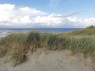 Ferienhaus Henne Strand  8