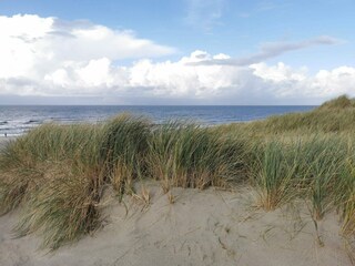 Vakantiehuis Henne Strand  20