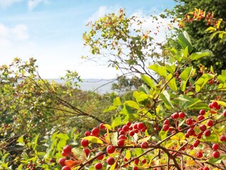 Casa de vacaciones Hostrup Strand  13