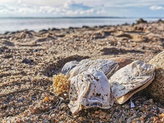 Vakantiehuis Hostrup Strand  10