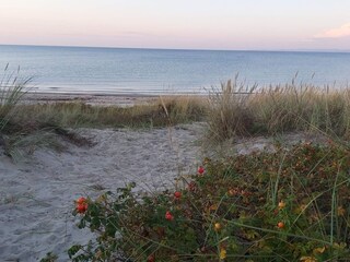 Casa de vacaciones Hornbæk  1