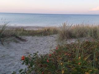 Holiday house Hornbæk  1