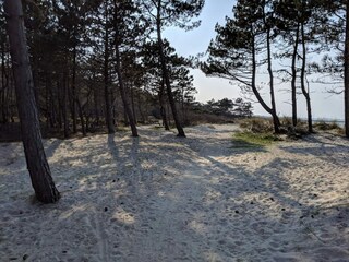 Vakantiehuis Hornbæk  20