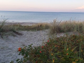 Casa de vacaciones Hornbæk  1